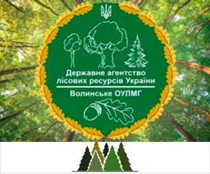 Автоматизація Волинського обласного управління лісового та мисливського господарства